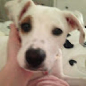 Meet your Posher, Lilly